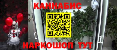 сатива Камышлов