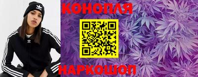индика Будённовск