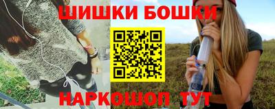индика Будённовск