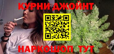 индика Будённовск