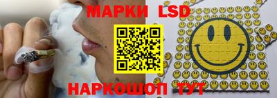 индика Будённовск