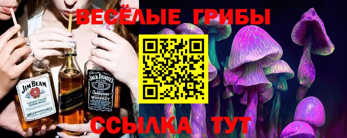 Пятигорск  Псилоцибиновые грибы мицелий  Галлюциногенные грибы Cubensis  Вход с VPN 